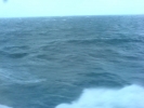 Click to view DSC00941-36.JPG