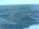 Click to view DSC00941-37.JPG