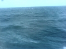 Click to view DSC00941-38.JPG
