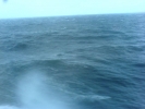 Click to view DSC00941-39.JPG