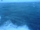 Click to view DSC00941-60.JPG